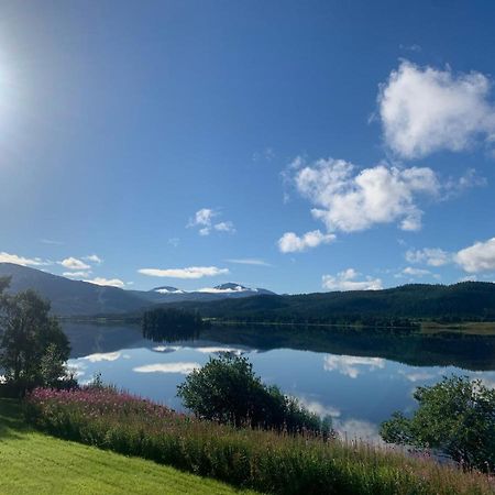 Aspnes Camping As Mosjøen Eksteriør billede